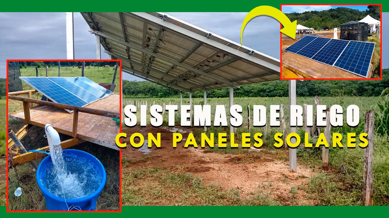 ¿Qué es la regla 200 para el riego por goteo?