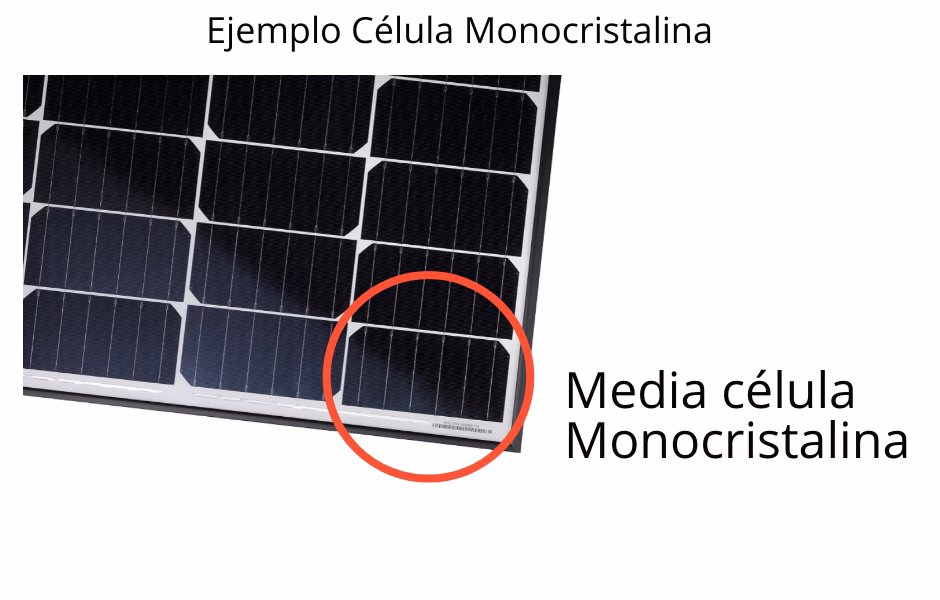 ¿Cuáles son las desventajas de los paneles monocristalinos?
