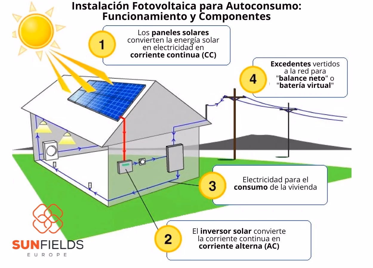 ¿Cuál es la relación entre el sol y el Sistema Solar?