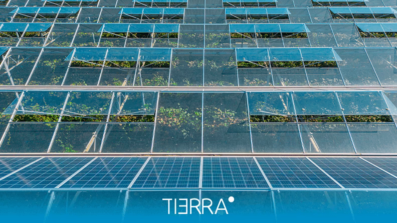 ¿Quién inventó el panel solar transparente?