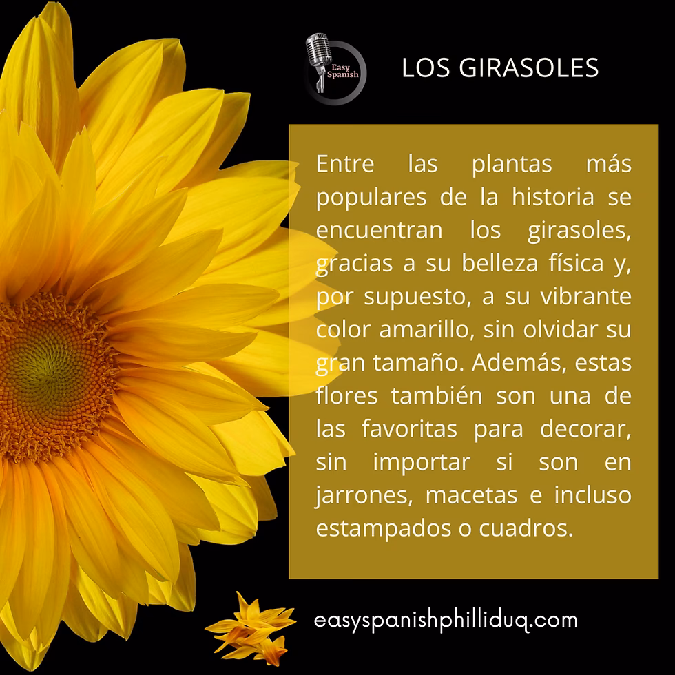 ¿Qué función cumple el sol en el girasol?