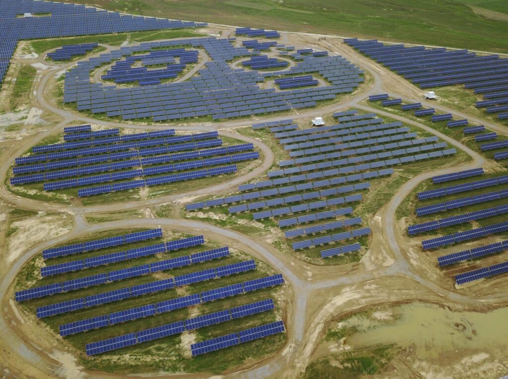 El Hogar Secreto del Panda Gigante: Un Mundo de Bambú