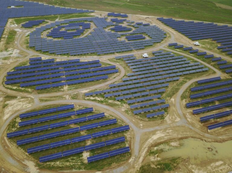 El Hogar Secreto del Panda Gigante: Un Mundo de Bambú