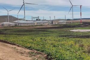 Parque Eólico La Elbita – Genneia