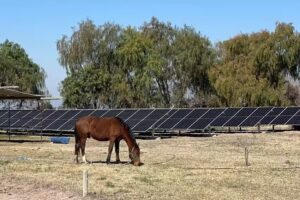 Parque Fotovoltaico – GRENER