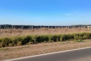 Parque Solar Fotovoltaico La Corzuela – MSU Green Energy