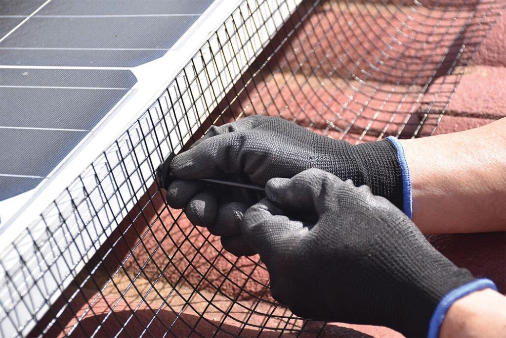 Cómo Alejar Palomas de tus Paneles Solares