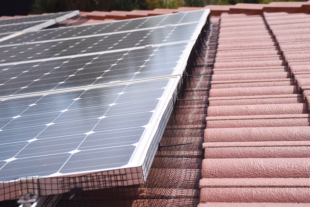 Can you put netting over solar panels?