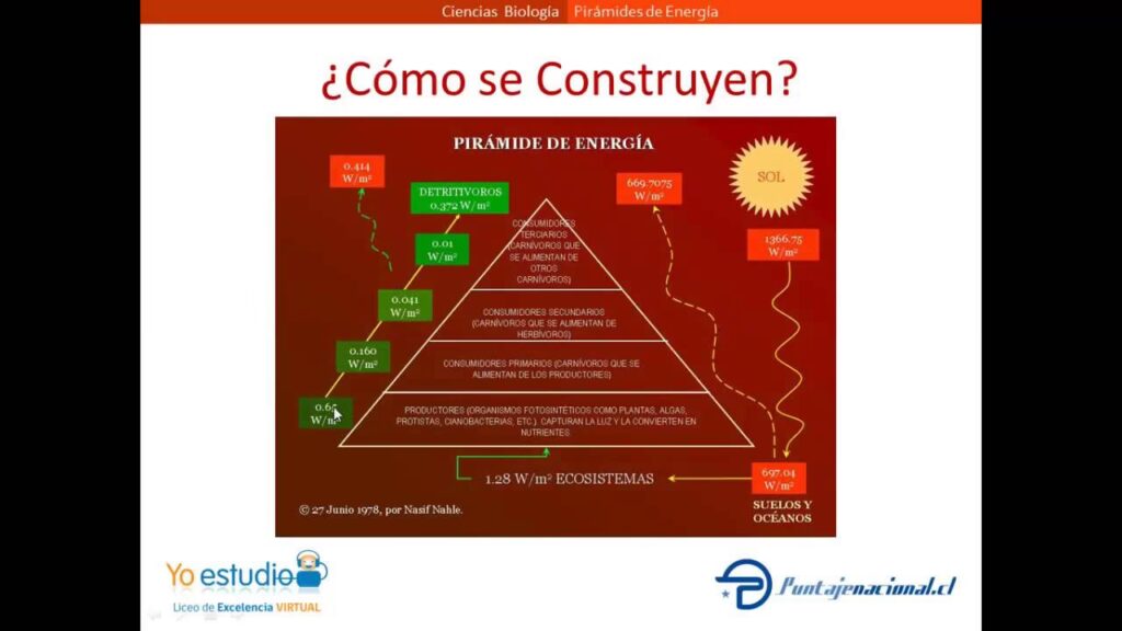 Pirámides de Energía: El Flujo de la Vida