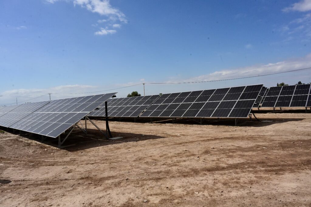 Energía Renovable: ¿Apoyo Político o Sentido Común?