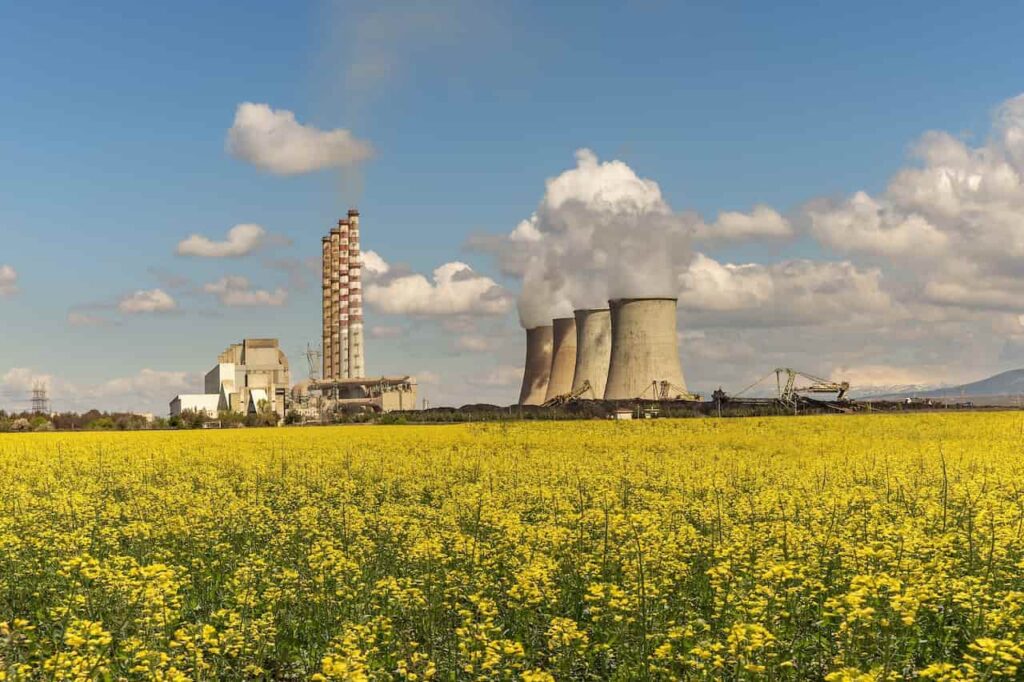 Energías Renovables: ¿El Futuro es Ahora?