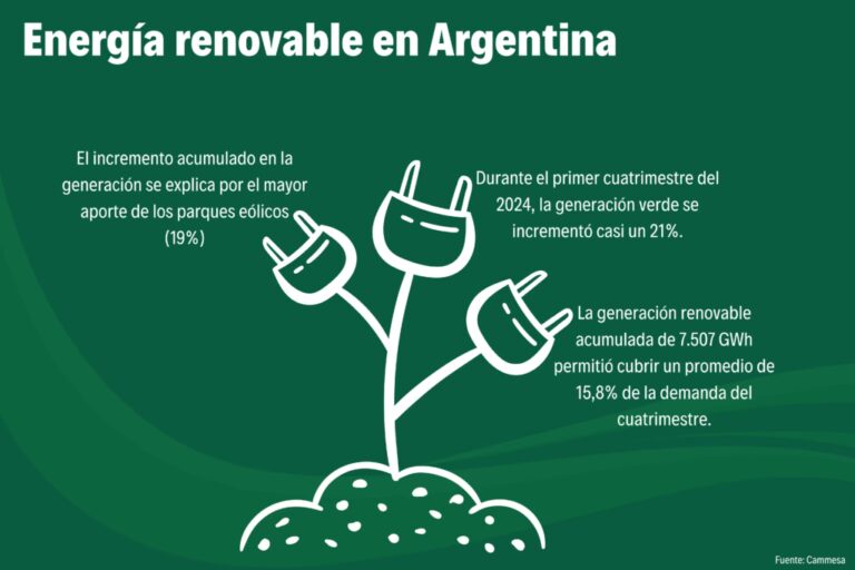 Energías Renovables: La Carrera del Futuro