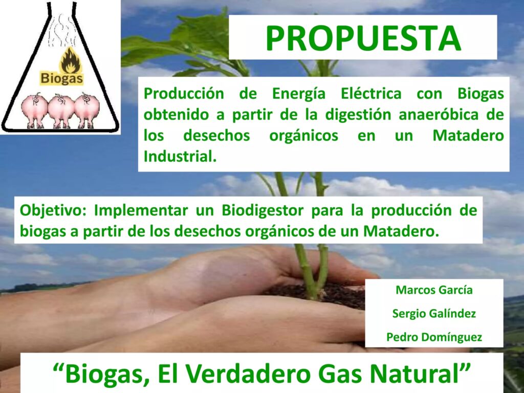 Tipos de Biodigestores: Guía Completa de Energía
