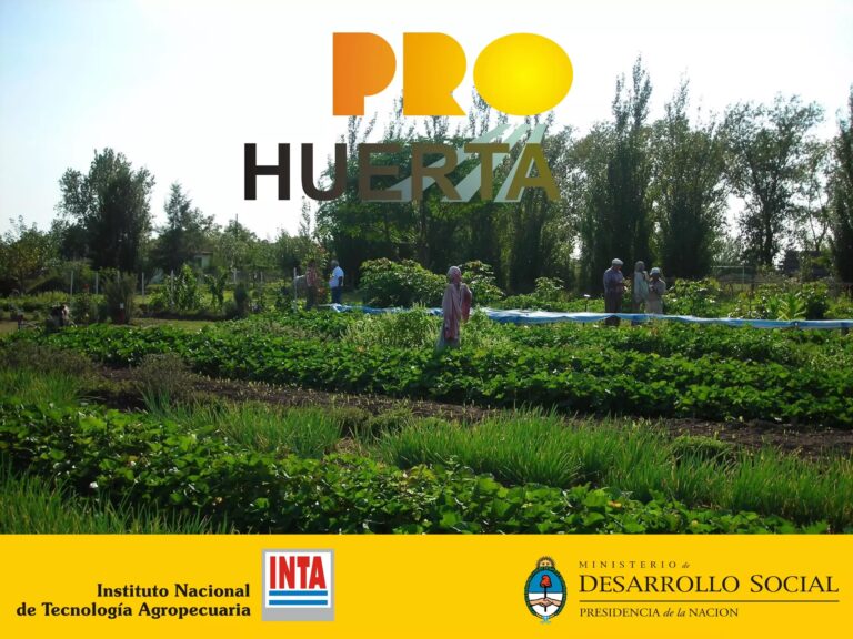Prohuerta: El fin de una era en seguridad alimentaria