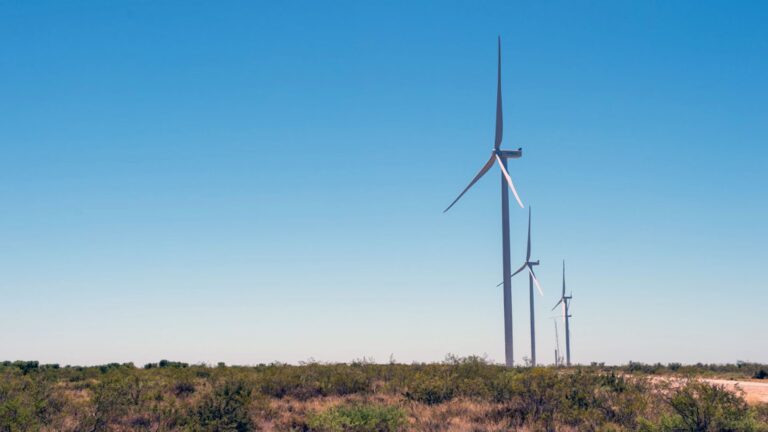 Energía Solar: Clave para Negocios en Río Negro