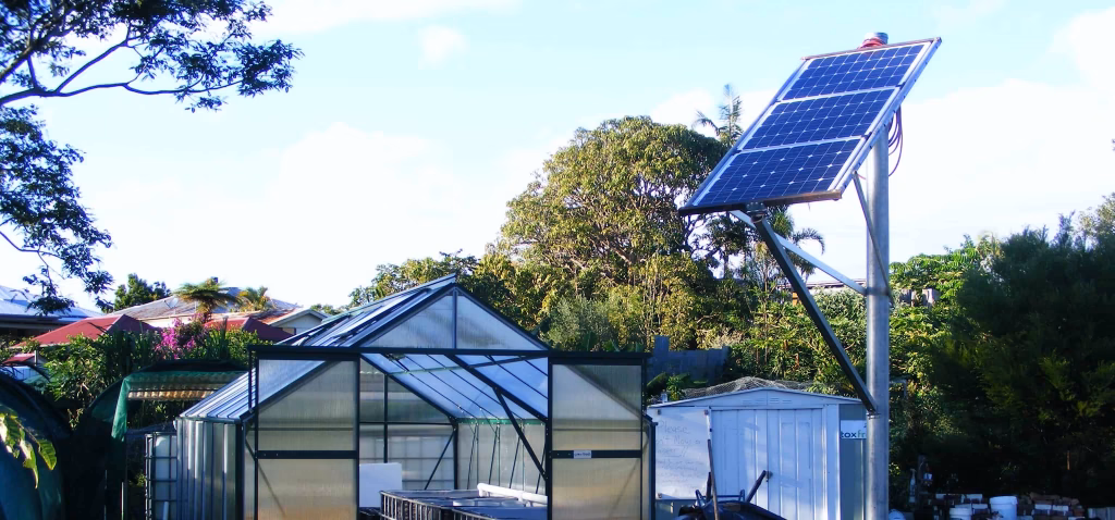 ¿Cuáles son las formas de criar peces de cultivo de manera sostenible?