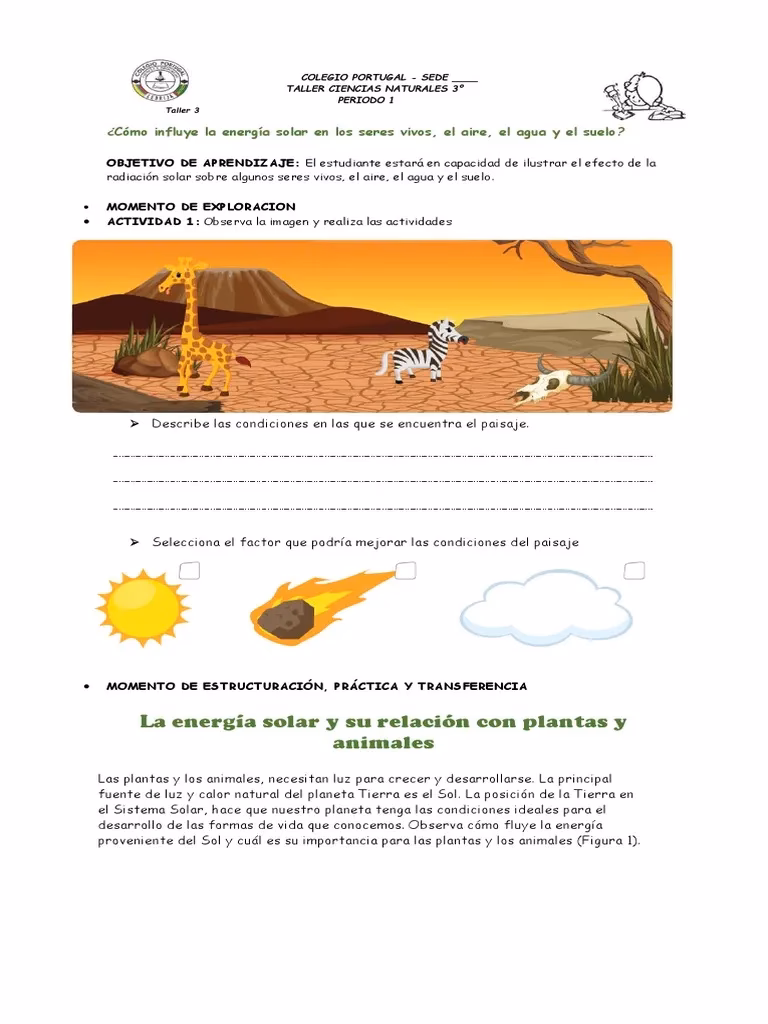 ¿Qué efectos tiene la energía solar en el suelo?