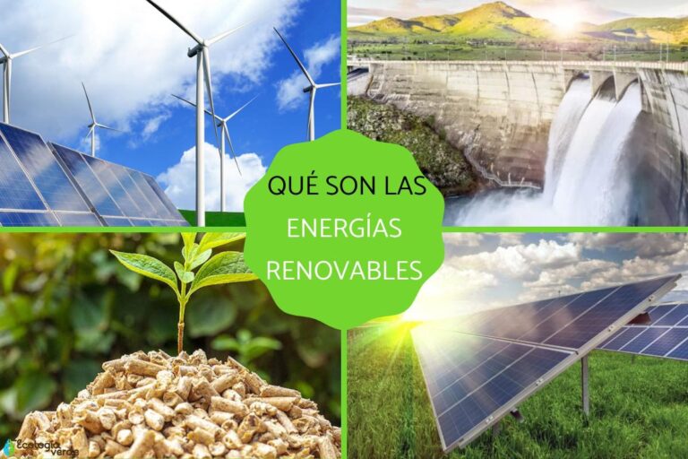Energías Renovables: ¿Qué Piensa Realmente la Gente?
