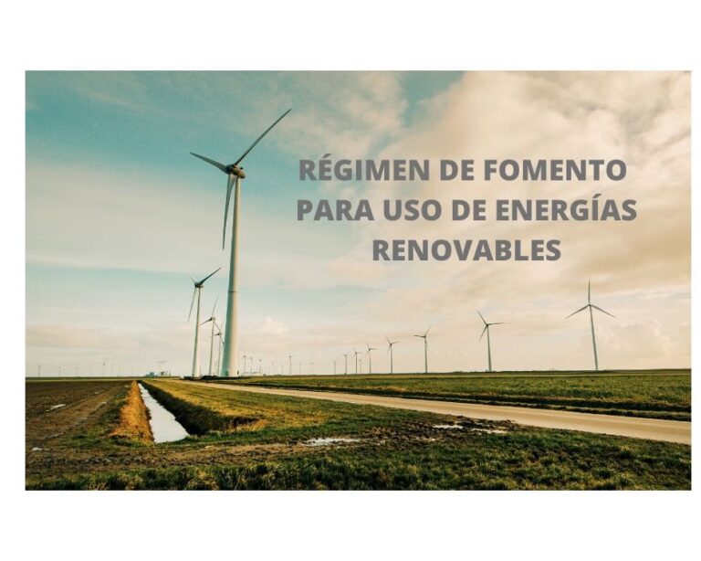 El Régimen Especial Eléctrico de España