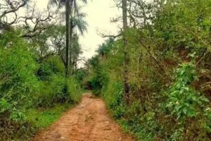 Reserva Municipal Yaguá cuá