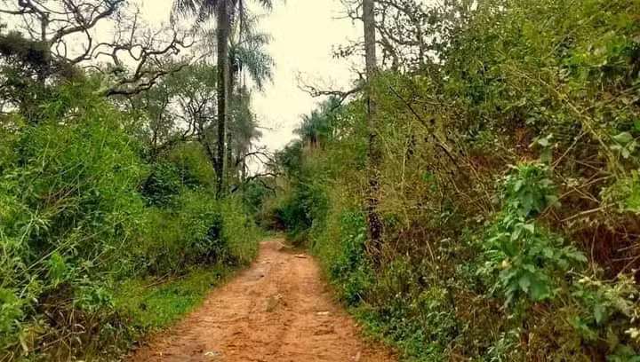 Reserva Municipal Yaguá cuá