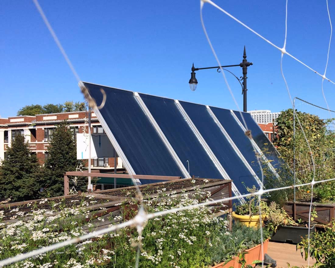Can Illinois residents get free solar panels?