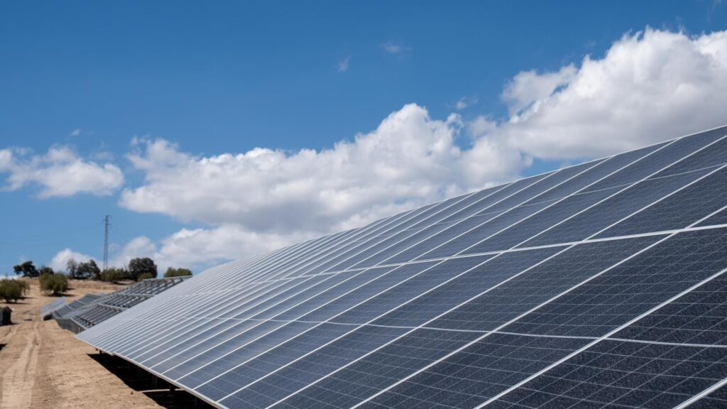 RIC Energy: El Gigante Renovable y su CEO Visionario