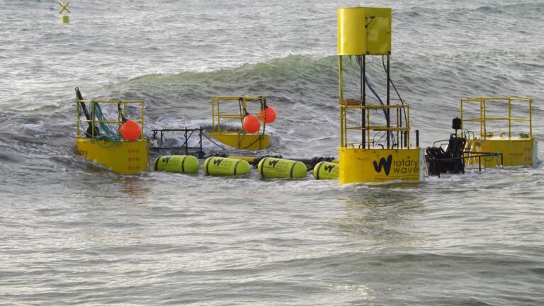 Rotary: Acción Comunitaria por el Planeta