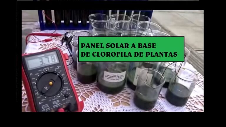 Biopaneles Solares de Algas: La Revolución Verde
