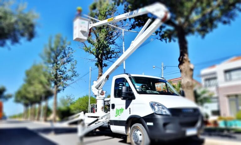 Luminaria Solar: Guía de Iluminación Eficiente