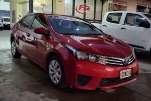 Solar Glass Polarizados