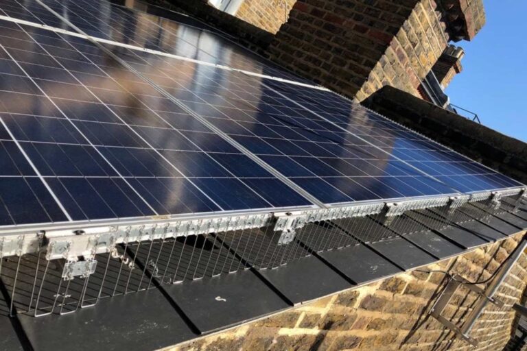 Protege tus Paneles Solares de Aves y Roedores