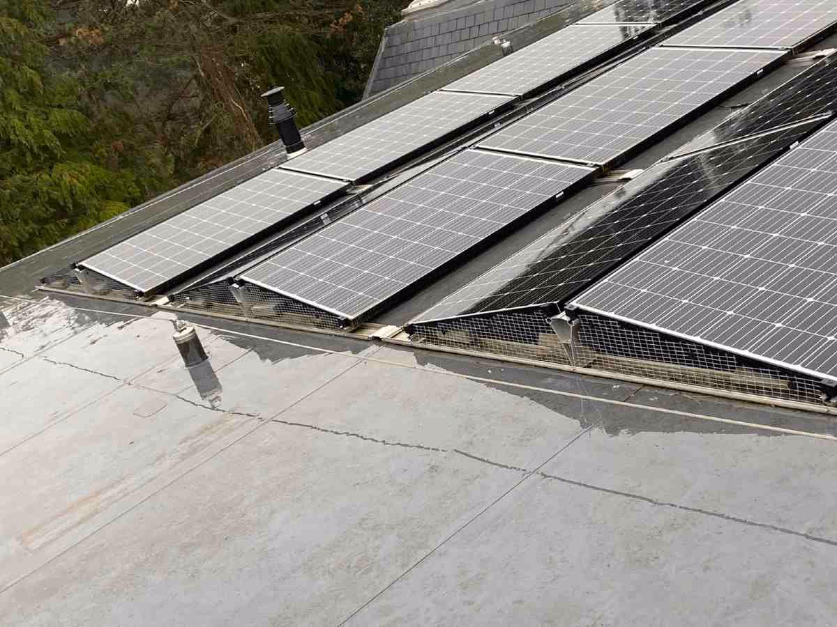 How much does it cost to bird proof solar panels UK?