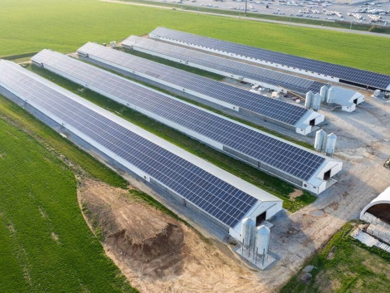 Who is the best solar company to go with?