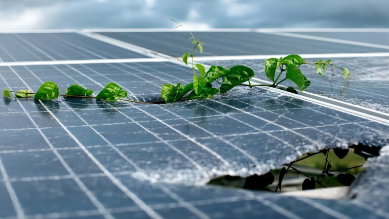 El Valor Oculto de los Paneles Solares Viejos