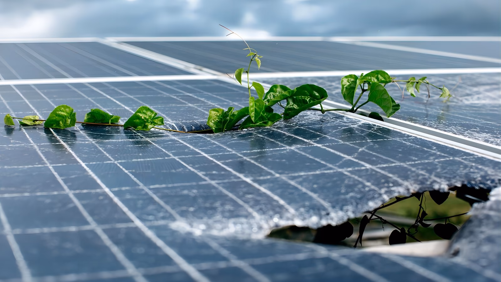 Are solar panels worth anything in scrap?