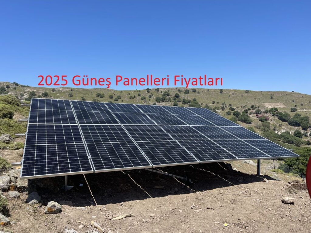 Costos y Guía de Paneles Solares