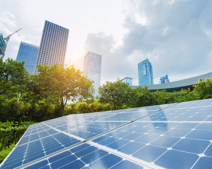 How much does it cost to install solar panels in Delhi?