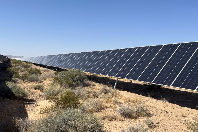 What are the 4 P's of public relations?