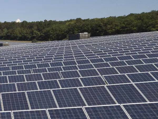 Which 5 stocks to buy today?