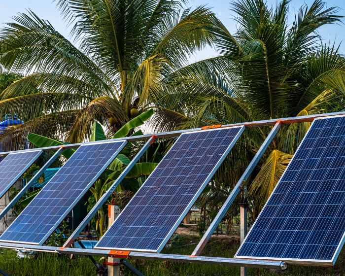 Which loan is 50% subsidy in Tamil Nadu?