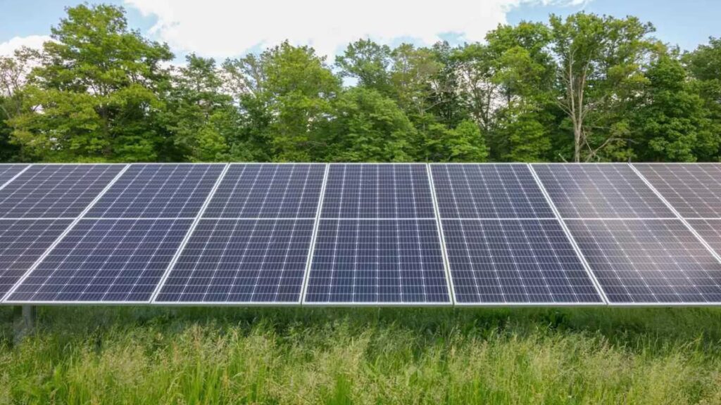 La Transición Solar de los Gigantes Energéticos