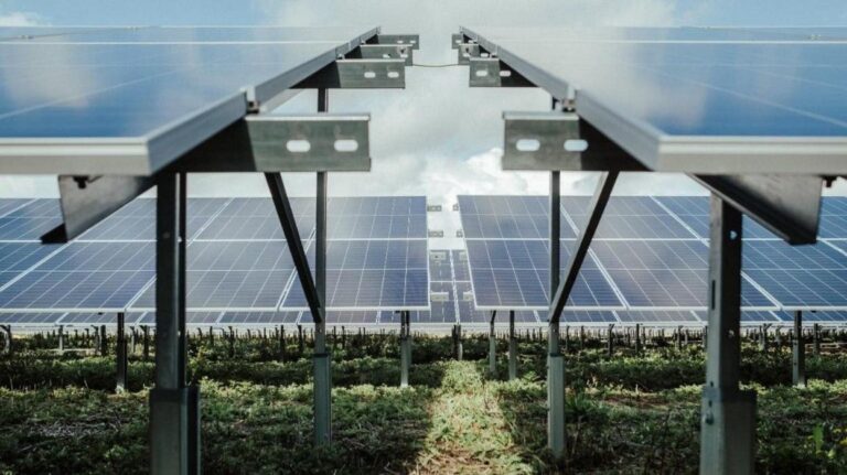 Rentabilidad de Paneles Solares por Hectárea