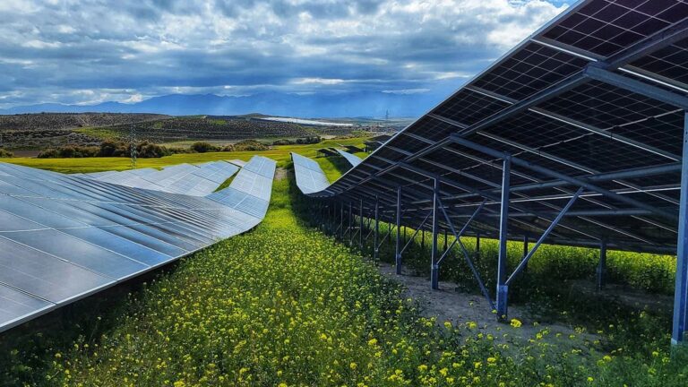 Paneles Solares en España: ¿Una Inversión Inteligente?