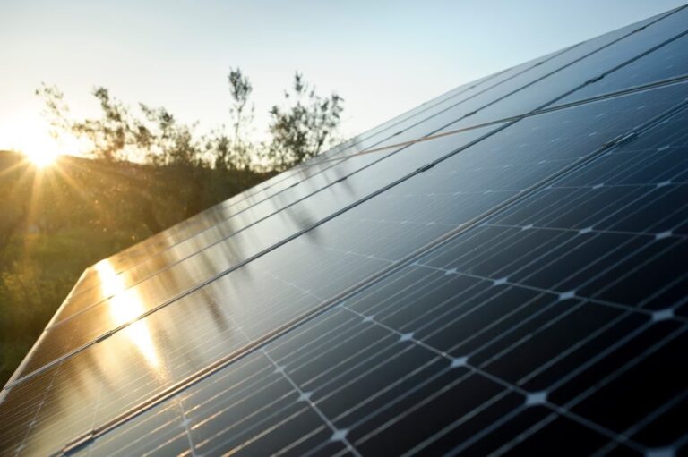 Solargain: ¿Una Opción Confiable para Paneles Solares?