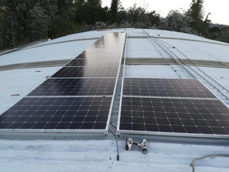 Techos Parabólicos: Guía Completa de Construcción