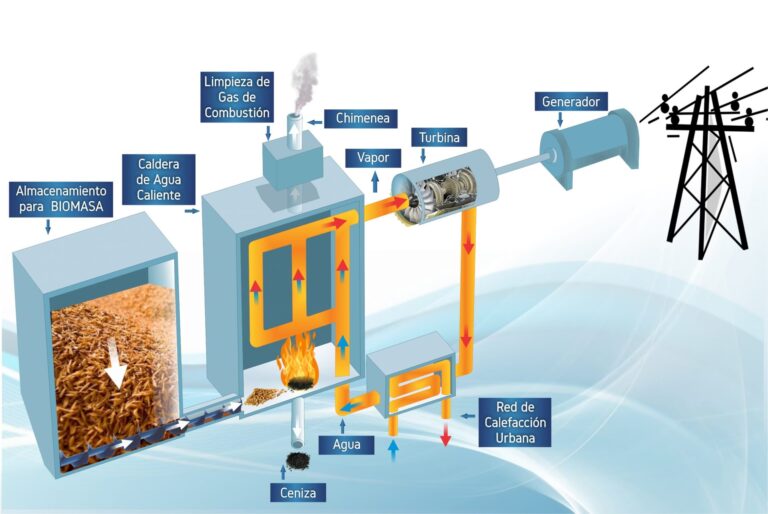 Biomasa: La Energía del Futuro, Hoy