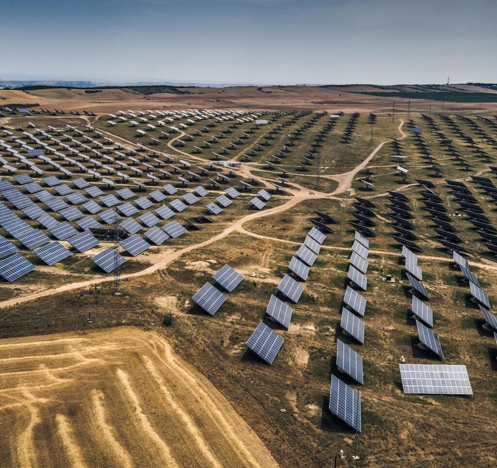 La Leña: ¿Fuente de Energía Renovable Sostenible?