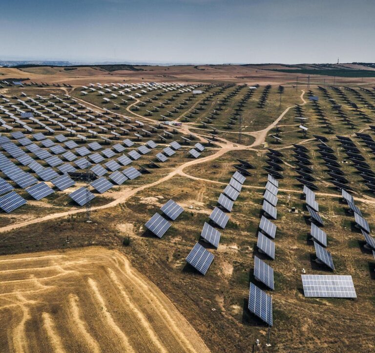 La Leña: ¿Fuente de Energía Renovable Sostenible?