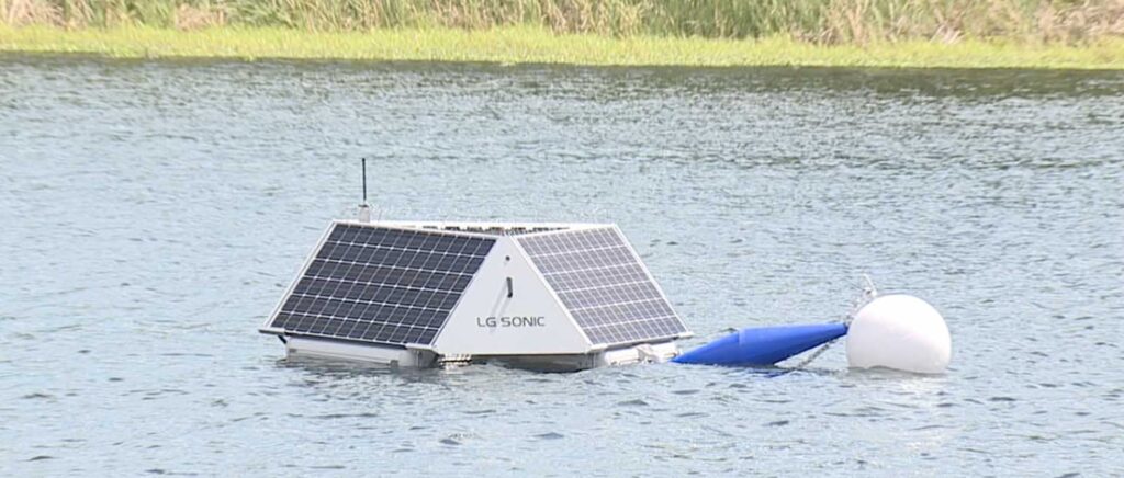 Boyas Marinas: Guía Completa de Navegación